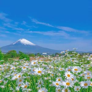 换脸范冰冰最惊艳的图片
