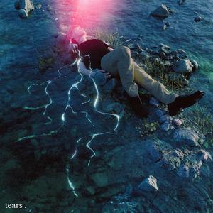 换脸范冰冰最惊艳的图片
