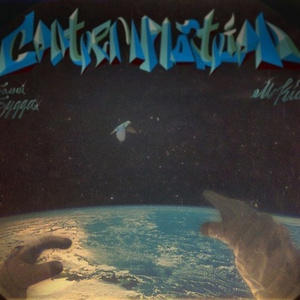 换脸范冰冰最惊艳的图片
